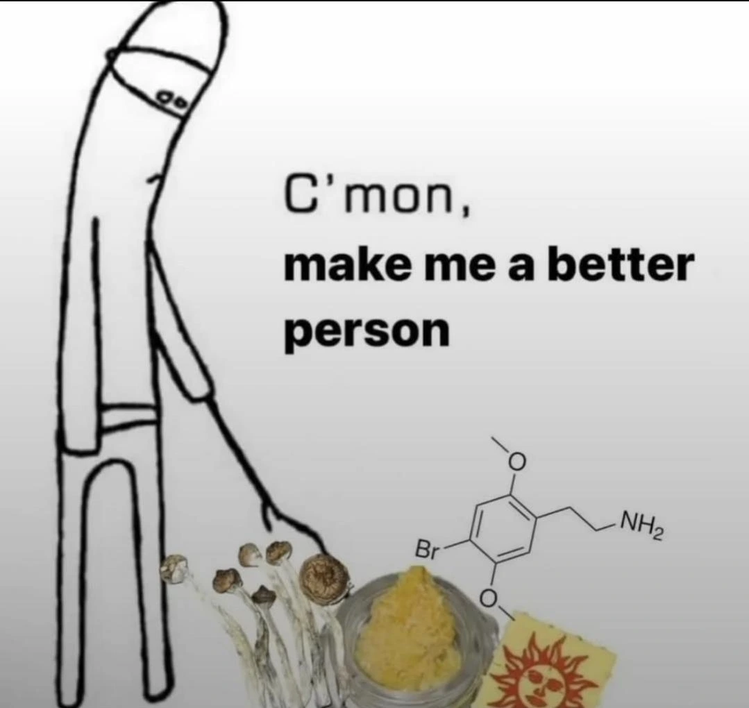 Psychedelics are the cheat code to fix your life without doing any work