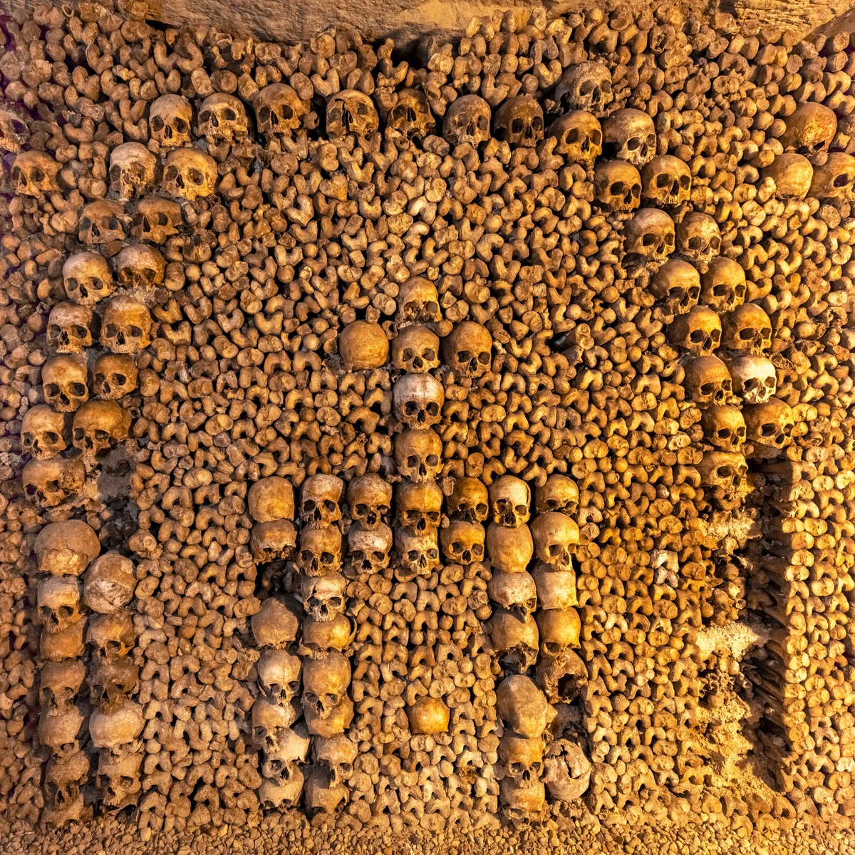 Catacombs of Paris, France (2022)