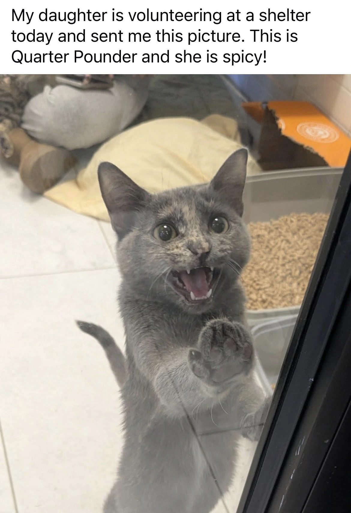 Spicy Quarter Pounder