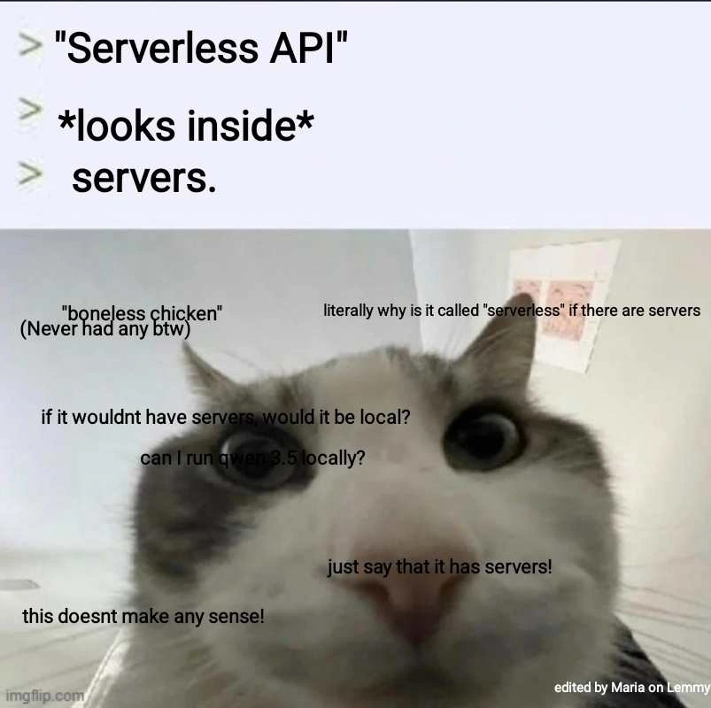 a cat looks intrigued but co fused at the camera.Text says "Serverless API? I look inside. What do I see? Servers". Small text all around the cat says "boneless chicken. never had any btw", "literally why is it called serverless if there are servers", "uf it wouldn't have servers, woukd it be local?", "can I run qwen 3.5 locally?", "just say that it has servers!", "this doesnt make any sense!". text in bottom right coner "edited by Maria on Lemmy"