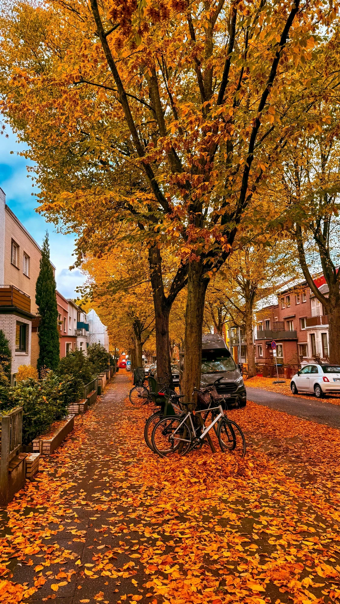 Autumn in Hamburg, Germany